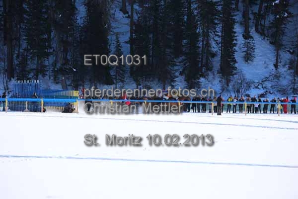 ET0Q1031 prot
